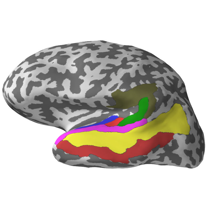 ../_images/sphx_glr_plot_sample_circular_brain_002.png